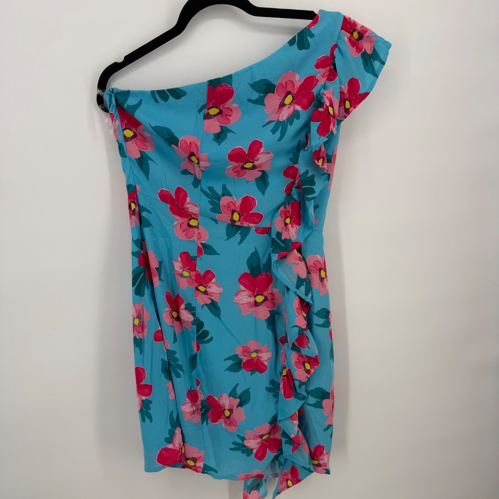 Emily Wonder Blue Pink Floral One Shoulder Ruffle Mini Dress Small NWT Feminine